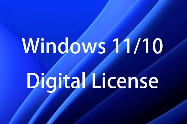 Windows 10 & 11 Professional Operating Systems